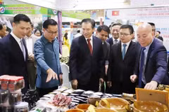 Các gian hàng tại Hội chợ Thương mại Việt-Lào năm 2025. (Ảnh: TTXVN)