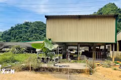 Hiện trường vụ tai nạn lao động khiến 5 người tử vong và 2 người bị thương tại trang trại Công ty TNHH DABACO Thanh Hóa. (Ảnh: TTXVN phát)