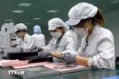 Trong chín tháng, gần 149,7 nghìn doanh nghiệp đăng ký mới và 74,3 nghìn quay lại hoạt động, thể hiện sự phục hồi tích cực của doanh nghiệp Việt Nam. (Ảnh minh họa. Nguồn: TTXVN)