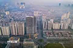 Bộ Nội vụ cũng đề xuất việc đặt tên theo số thứ tự nhằm tạo thuận lợi cho quá trình số hóa, cập nhật dữ liệu thông tin. (Ảnh: TTXVN)