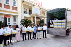Bưởi Soi Hà, huyện yên Sơn (Tuyên Quang) đã được xuất khẩu sang thị trường Vương quốc Anh. (Ảnh: Hoàng Hải/ TTXVN)