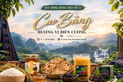 Từ những sản vật núi rừng đến những sản phẩm mang dấu ấn nghề truyền thống của đồng bào tại Cao Bằng sẽ có mặt trong “Sức sống hàng Việt” số 13. (Ảnh: BCT/Vietnam+)