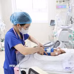 Nhân viên y tế chăm sóc cho trẻ sơ sinh. (Ảnh: TTXVN)