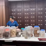 Mạng lưới y học cổ truyền của Việt Nam tương đối rộng từ Trung ương đến địa phương. (Ảnh: Thùy Giang/Vietnam+)