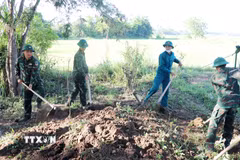 Đội Tìm kiếm, quy tập hài cốt liệt sỹ tỉnh Khánh Hòa cất bốc hài cốt liệt sỹ tại xã Phước Dinh. (Ảnh: Công Thử/TTXVN)