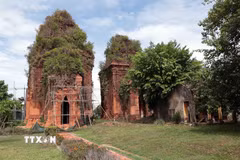 Những tồn tại kéo dài liên quan tới Tháp Chăm Khương Mỹ