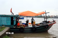 Người dân khu vực bến Chanh, phường Quảng Yên khẩn trương vận chuyển hải sản lên bờ tránh trú bão số 4. (Ảnh: Đức Hiếu/TTXVN)