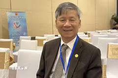 Anh hùng Lao động, Giáo sư, Tiến sỹ Nguyễn Anh Trí. (Nguồn: TTXVN)