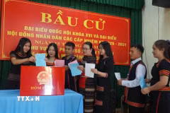 Cử tri khu vực miền núi thành phố Đà Nẵng đi bầu cử. (Ảnh: Trần Tĩnh/TTXVN)