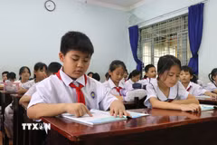 Ảnh minh họa. (Nguồn: Nguyên Dung/TTXVN)