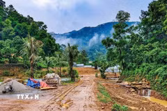 Một khu vực có dấu hiệu bị san gạt, cải tạo mặt bằng giữa rừng phòng hộ Sóc Sơn, xã Kim Anh, Hà Nội. (Ảnh: Trung Nguyên/TTXVN)