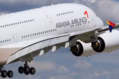 Hãng hàng không Asiana Airlines của Hàn Quốc. (Nguồn: Yonshap)