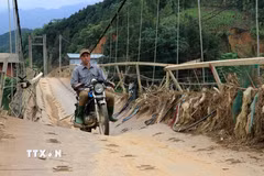 Ảnh minh họa. (Ảnh: TTXVN)