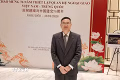 Giáo sư, Tiến sỹ Thành Hán Bình, Viện trưởng điều hành Viện Nghiên cứu khu vực và quốc gia, Giám đốc Trung tâm Nghiên cứu Việt Nam tại Đại học Công nghiệp Chiết Giang (Trung Quốc). (Ảnh: TTXVN phát)