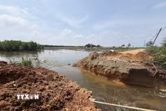 UBND xã Yên Phú (Thanh Hóa) đã cắt 1 đoạn đường thôn để thoát nước cứu diện tích dứa bị ngập úng. (Ảnh: Hoa Mai/TTXVN)