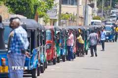 Người dân xếp hàng chờ đổ xăng tại Colombo, Sri Lanka ngày 17/3/2026. (Ảnh: THX/TTXVN)
