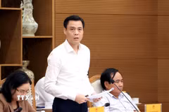 Thứ trưởng Bộ Ngoại giao Đặng Hoàng Giang. (Ảnh: Tuấn Anh/TTXVN)