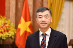 Đại sứ Việt Nam tại CH Séc, ông Dương Hoài Nam. (Ảnh: TTXVN phát)