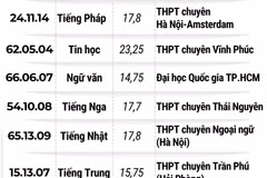 Kỳ thi chọn học sinh giỏi quốc gia: 14 thủ khoa thuộc những trường nào?