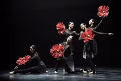 Một tiết mục trong "Mùa Hàn Quốc (Korea Season)"