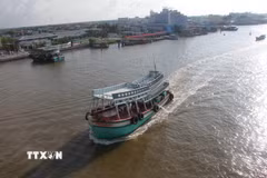 Dữ liệu giám sát được theo dõi 24/7 giúp lực lượng chức năng kịp thời phát hiện, cảnh báo và ngăn chặn các trường hợp tàu cá có dấu hiệu vượt ranh giới cho phép hoặc mất kết nối VMS. (Ảnh: Chanh Đa/TTXVN)