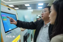(Ảnh: Hoàng Hiếu/TTXVN)