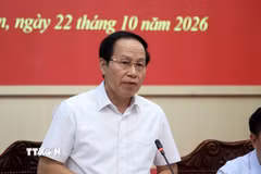 Phó Thủ tướng Chính phủ Lê Tiến Châu phát biểu tại buổi làm việc. (Ảnh: Văn Tý/TTXVN)