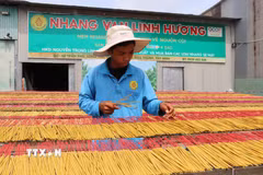 Cơ sở sản xuất nhang Vạn Linh Hương hiện có 3 sản phẩm đạt chuẩn OCOP 4 sao. (Ảnh: Đức Hạnh/TTXVN)