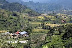 Từ trên bản Lao Chải, du khách phóng tầm mắt ra xa ngắm nhìn những thửa ruộng lúa bậc thang cùng thiên nhiên hùng vĩ. (Ảnh: Quý Trung/TTXVN)