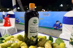 Sản phẩm nước cốt nhàu của anh Hà Huy Hậu (xã Trường Giang). (Ảnh: Đinh Hương/TTXVN)