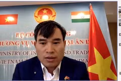 Ông Bùi Trung Thướng, Tham tán Thương mại Việt Nam tại Ấn Độ, phát biểu khai mạc hội thảo. (Ảnh: Ngọc Thúy/TTXVN)