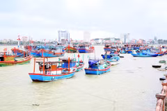 Toàn tỉnh Quảng Trị có 4.664 tàu có chiều dài từ 6m trở lên đã vào khu neo đậu tránh trú bão an toàn. (Ảnh: Tá Chuyên/TTXVN)