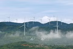 Cánh đồng điện gió ở xã Khe Sanh, tỉnh Quảng Trị. (Ảnh minh họa: Vũ Sinh/TTXVN)