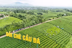 Đồi chè Cầu Đá, xã La Bằng - điểm du lịch văn hóa trà hấp dẫn tại Thái Nguyên. (Nguồn: Vietnam+)