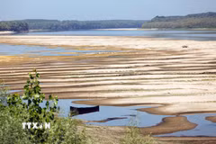 Tại Romania, mực nước sông Danube giảm xuống mức thấp kỷ lục buộc nước này phải bắt đầu dừng có kiểm soát tổ máy số 2 của Nhà máy điện hạt nhân Cernavoda từ ngày 13/8. Tổ máy số 1 đã ngừng hoạt động từ cuối tháng 7. (Ảnh: THX/TTXVN phát)