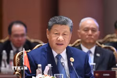 Chủ tịch Trung Quốc Tập Cận Bình phát biểu tại Phiên I của Hội nghị thượng đỉnh BRICS lần thứ 18 ở New Delhi ngày 12/9/2026. (Ảnh: THX/TTXVN phát)