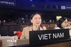 Đại sứ Nguyễn Thị Vân Anh, Trưởng Phái đoàn Đại diện thường trực Việt Nam bên cạnh UNESCO phát biểu tại Kỳ họp lần thứ 19 của Ủy ban liên chính phủ Công ước của UNESCO về Bảo vệ và phát huy sự đa dạng của các biểu đạt văn hóa. (Ảnh: TTXVN phát)