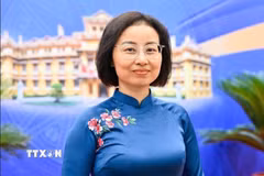 Đại sứ Việt Nam tại Vương quốc Đan Mạch, Nguyễn Lê Thanh. (Ảnh: TTXVN phát)