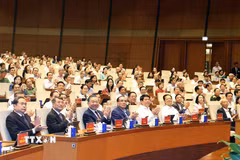 Tổng Bí thư, Chủ tịch nước Tô Lâm và các đại biểu dự hội nghị tại điểm cầu Trung tâm Nhà Quốc hội (Hà Nội). (Ảnh: Thống Nhất/TTXVN)