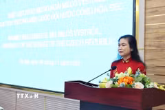 Chủ tịch Hội Chữ thập Đỏ Việt Nam Đỗ Thị Thu Thảo phát biểu. (Ảnh: Minh Đức/TTXVN)