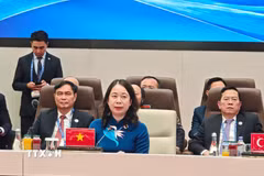 Phó Chủ tịch nước Võ Thị Ánh Xuân dự và phát biểu tại Hội nghị Thượng đỉnh Tổ chức Hợp tác Thượng Hải mở rộng (SCO Plus). (Ảnh: Tâm Hằng/TTXVN)