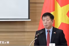 Đại sứ Việt Nam tại Hàn Quốc Vũ Hồ. (Ảnh: Đức Thắng/TTXVN)