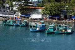 Tàu cá neo đậu tại khu vực cảng An Thới, đảo Phú Quốc, tỉnh An Giang. (Ảnh: Hồng Đạt/TTXVN)