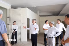 Lãnh đạo Thành phố Hồ Chí Minh khảo sát địa điểm 314 Trần Phú, phường An Đông để bàn giao cho Bệnh viện Nguyễn Tri Phương. (Ảnh: Đinh Hằng/TTXVN)