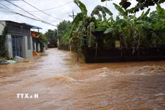 Nước chảy xiết tại đường dân sinh thuộc phường Phước Tân, thành phố Đồng Nai, ngày 24/9/2026. (Ảnh: Công Phong/TTXVN)