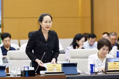 Bộ trưởng Bộ Văn hóa, Thể thao và Du lịch Lâm Thị Phương Thanh phát biểu. (Ảnh: Doãn Tấn/TTXVN)