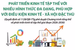Phát triển kinh tế tập thể với nhiều hình thức đa dạn 
