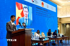 Đại sứ Việt Nam tại Ai Cập Nguyễn Nam Dương phát biểu tại phiên khai mạc hội nghị. (Ảnh: Hoàng Nhương/TTXVN)