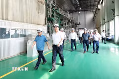 Chủ tịch UBND tỉnh Phú Thọ Trần Duy Đông cùng lãnh đạo các sở, ban, ngành khảo sát thực tế tại Nhà máy Giấy Việt Trì thuộc Công ty Cổ phần Giấy Việt Trì. (Ảnh: Thu Hương/TTXVN)