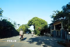 Tỉnh lộ 579 từ nút giao với đường Hùng Vương nối dài, đến Quốc lộ 1A dài khoảng hơn 2km, mặt đường nhỏ hẹp chỉ một làn xe mỗi bên, có nhiều khúc cua quanh co, bên đường có nhiều nhà ở và trường học. (Ảnh: Tường Vi/TTXVN)